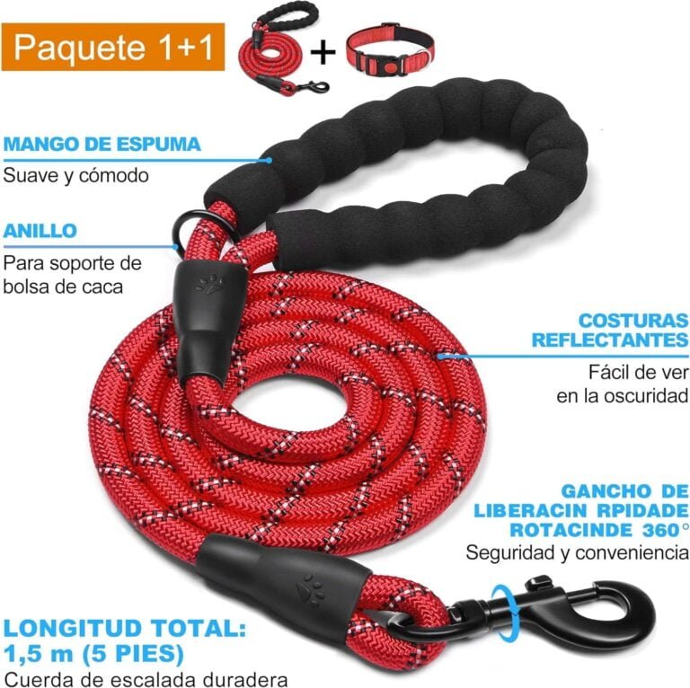 haapaw Collar de Perro Reflectante Acolchado con Neopreno Suave Collares de Perro de Nailon Ajustables Transpirables para Perros pequeños medianos Grandes