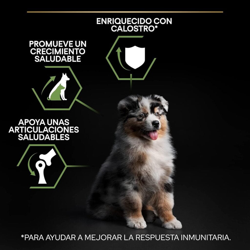 Purina Pro Plan Medium Puppy Start Pienso para Perro Mediano, Cachorro, Junior, Bebé con Pollo, saco de 12kg