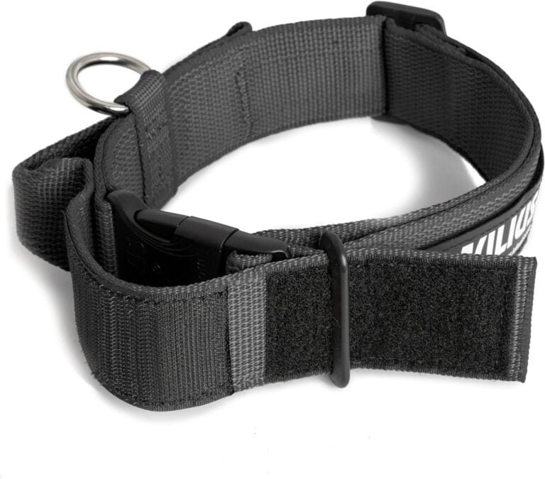 Collar Color & Gray con la manija, la cerradura de seguridad y el remiendo intercambiables, 50 mm (49-70 cm), Negro-Gris