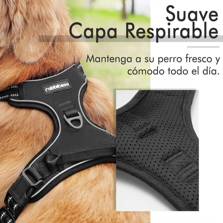 rabbitgoo Arnes Perro Grande Mediano Pequeño Arnés Pecho Antitirones Perros Coche con Lineas Reflecantes Cómodo Transpirable Chaleco Acolchado Ajustable para Adiesreamiento Correr Negro Tamaño Grande