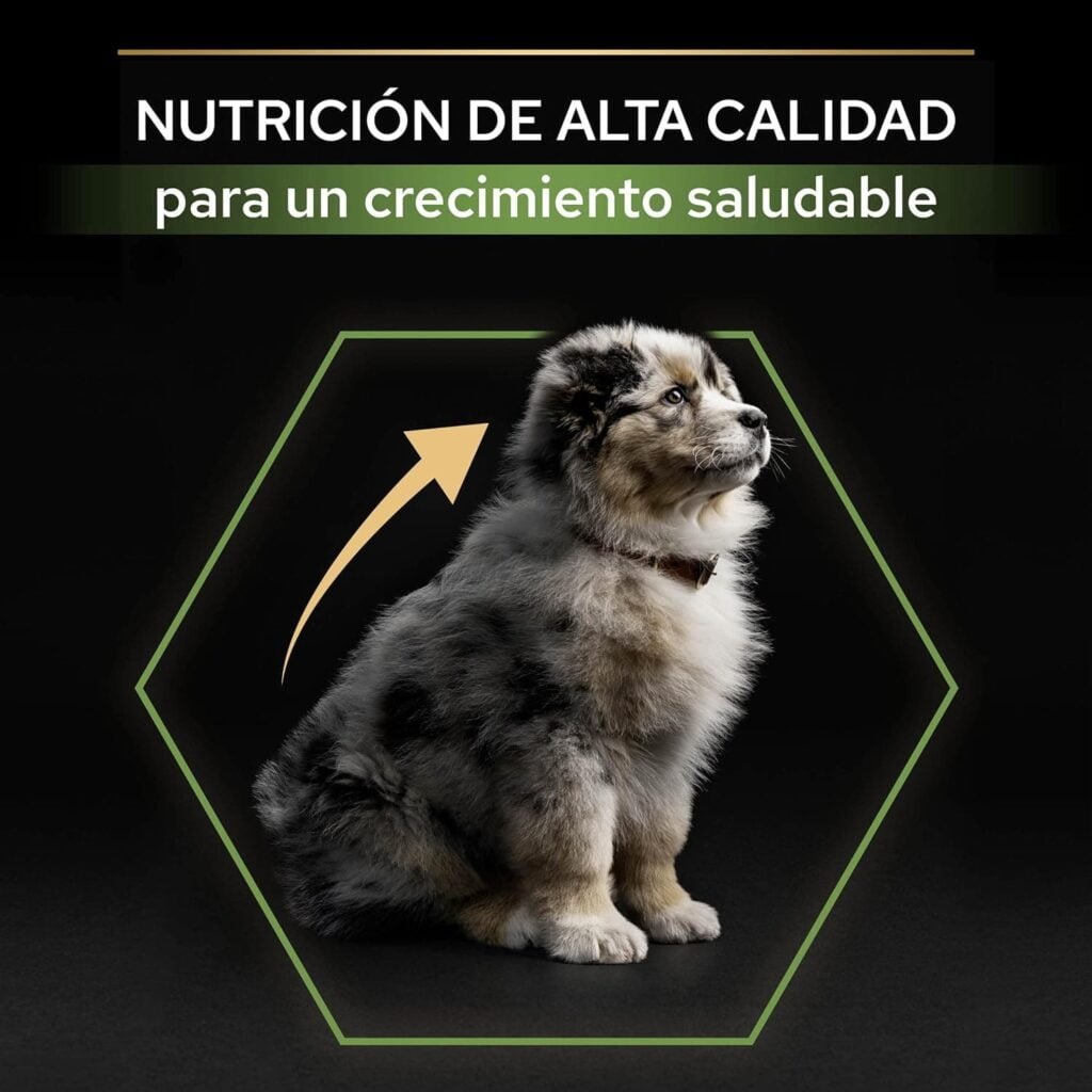 Purina Pro Plan Medium Puppy Start Pienso para Perro Mediano, Cachorro, Junior, Bebé con Pollo, saco de 12kg