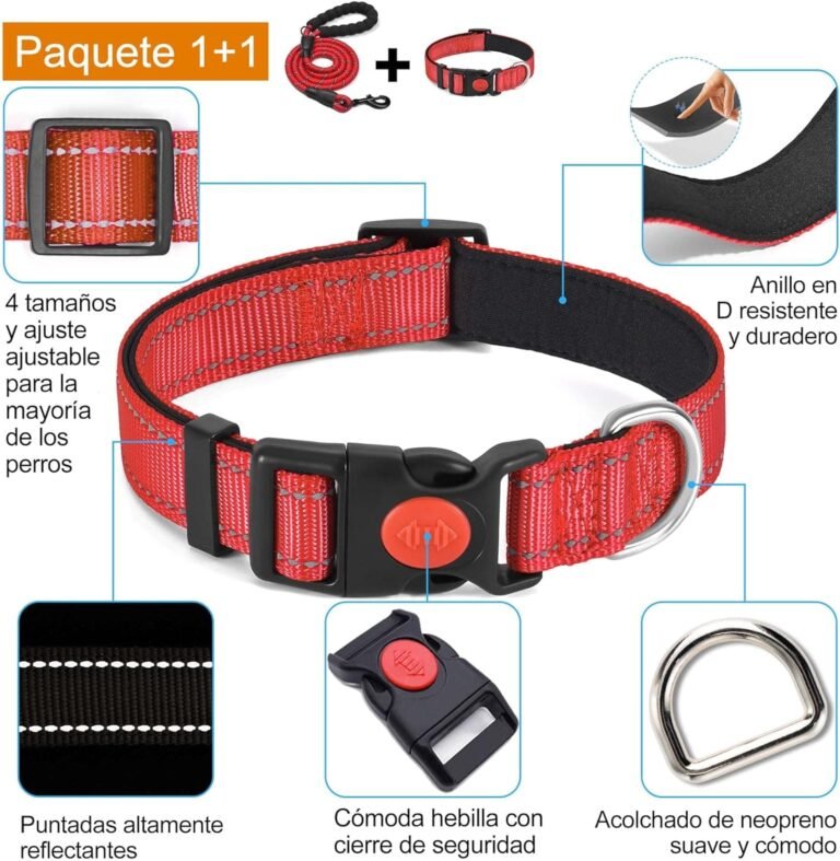 haapaw Collar de Perro Reflectante Acolchado con Neopreno Suave Collares de Perro de Nailon Ajustables Transpirables para Perros pequeños medianos Grandes