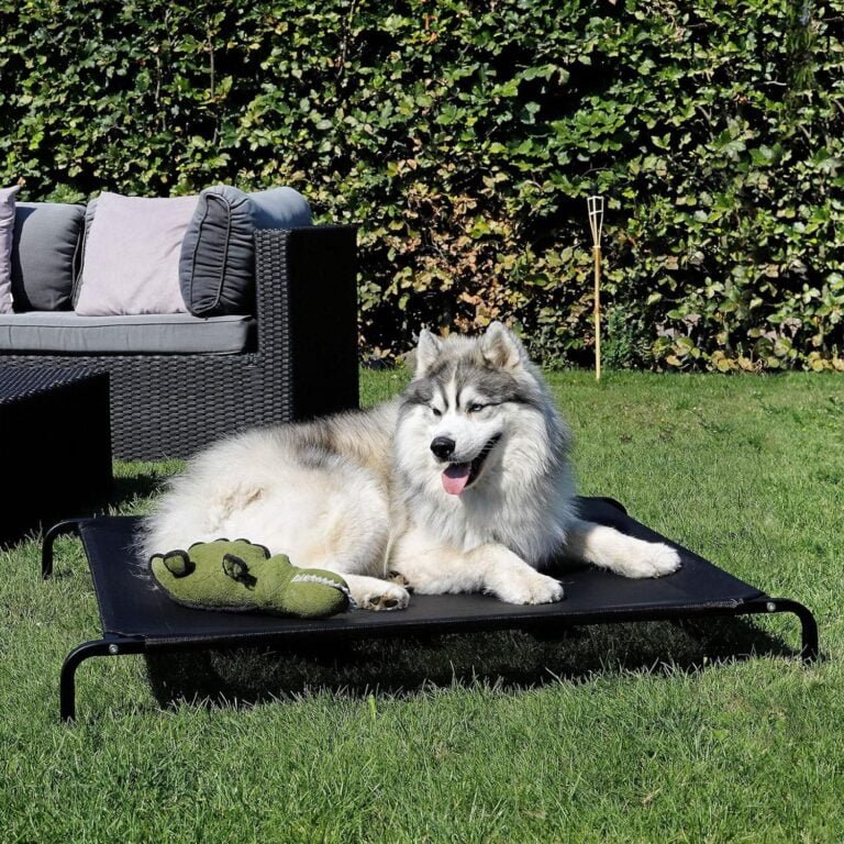 lionto Cama elevada para Perros Tejido en Textilene, (XL) 117x85 cm Negro