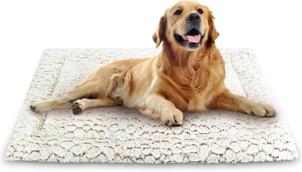 Aspand Colchoneta para Perros-Suave y Cómoda Alfombra de,94x61cm,Protección para su Mascota,Fácil de Limpiar,Caqui