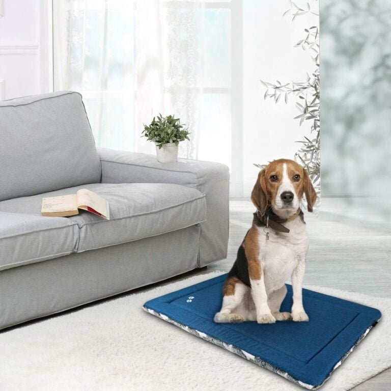 KROSER Almohadilla para Perros Colchoneta Reversible Colchón para Mascotas Elegante 91 cm Almohadilla de Esponja de Alta Densidad Lavable a Máquina Cama para Perros Grandes de hasta 32kg