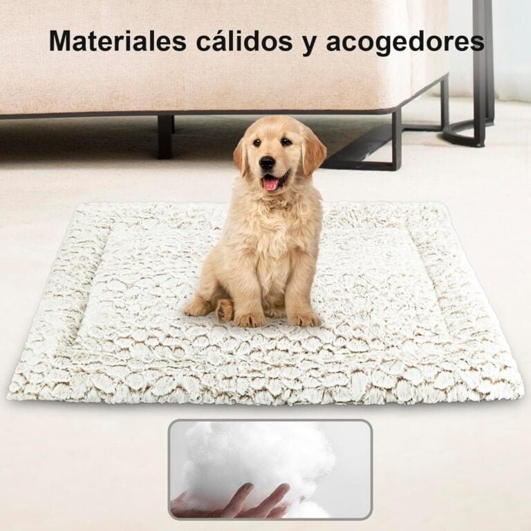 Aspand Colchoneta para Perros-Suave y Cómoda Alfombra de,63x48cm,Protección para su Mascota,Fácil de Limpiar,Caqui