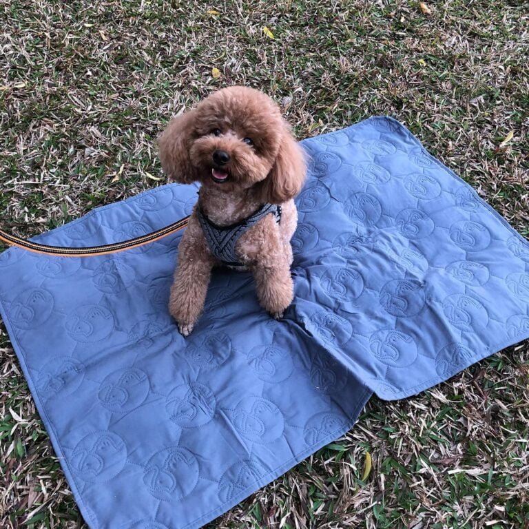 Kritter Planet Manta impermeable para perros Manta a prueba de líquidos para sofá cama Cachorros Gatos Manta Cama Funda protectora para asiento de automóvil Lavable, 125 × 75 cm