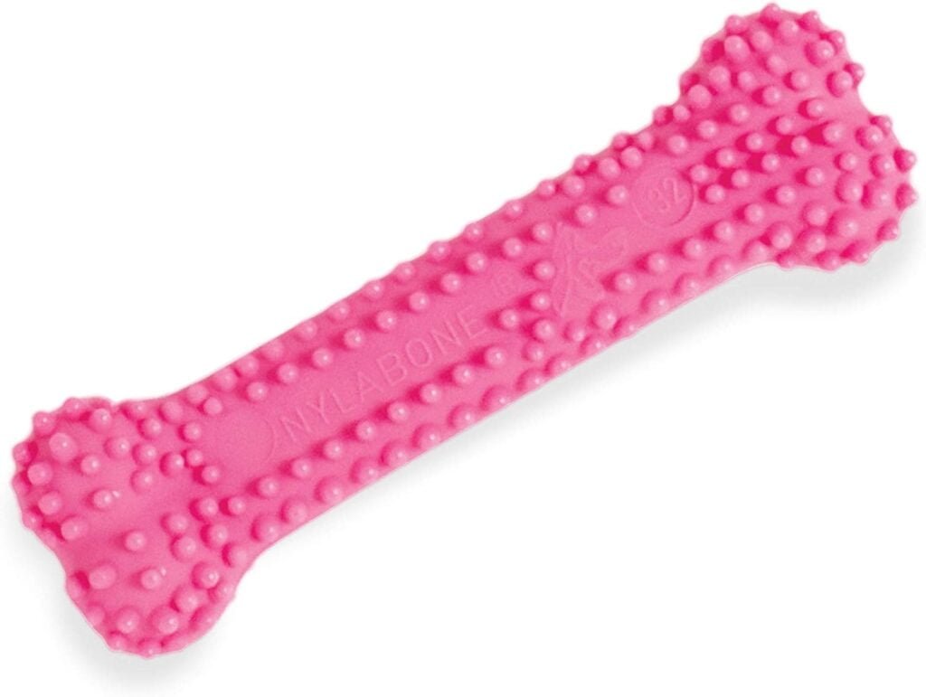 Nylabone | Masticable para dentición de cachorros | Forma de hueso con textura | Rosa | Sabor a pollo | Para perros muy pequeños o cachorros (hasta 7 kg) | Mordidas moderadas o primeros dientes