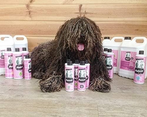 Petuxe Acondicionador para Perros - Spray Desenredante y Secado para Todo Tipo de Pelo y Razas: Perros, Gatos y Mascotas. Hidratación y Brillo - 300 ml