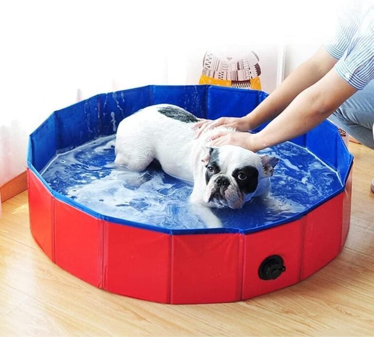 Piscina Perros y Gatos Bañera Plegable PVC Antideslizante y Resistente al Desgaste Piscina Plegable para Perros Gatos Bañera Piscina Portátil para Mascotas (M 80 * 20CM) Color Aleatorio