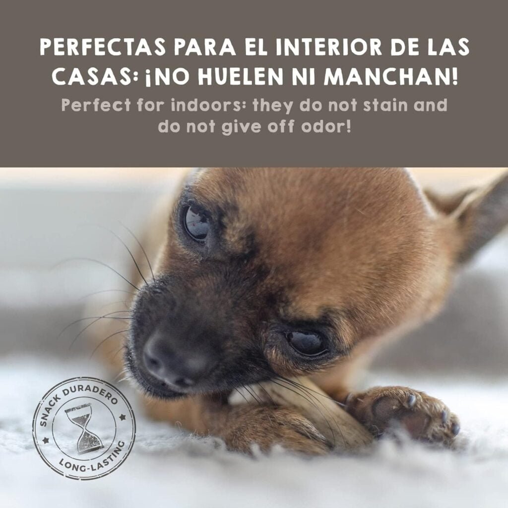 MAIKAI Asta de Ciervo para Perro Talla L - Mordedor Natural para Perros - Resistente - Hueso Ideal para Razas Medianas hasta 30 kg - Juguete para Perros