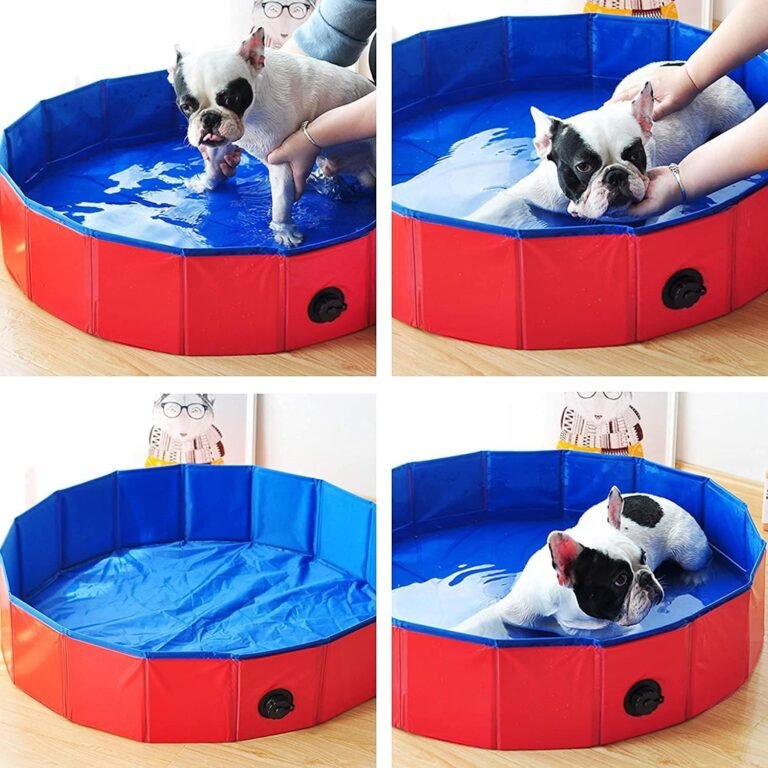 Piscina Perros y Gatos Bañera Plegable PVC Antideslizante y Resistente al Desgaste Piscina Plegable para Perros Gatos Bañera Piscina Portátil para Mascotas (M 80 * 20CM) Color Aleatorio