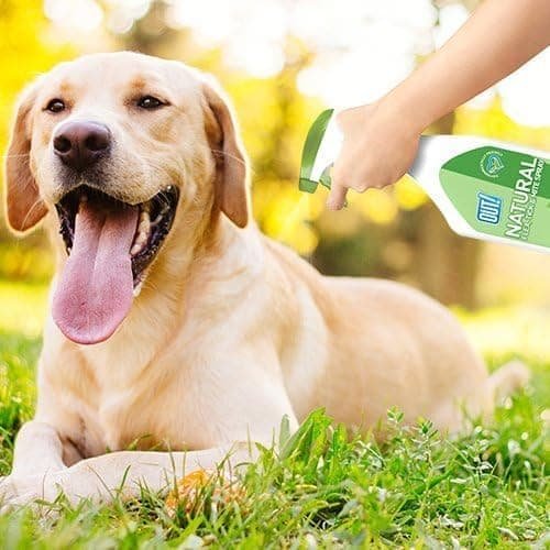 OUT! Spray natural contra pulgas, garrapatas y ácaros para perros, 500 ml