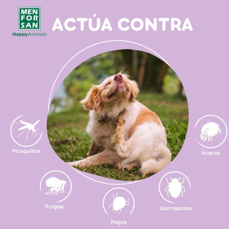 MENFORSAN Pipetas Anti-Insectos para Perros con Margosa, Geraniol y Lavandino, contra Pulgas, Garrapatas y Mosquitos (incluido Flebótomo), Estuche con 2 unidades, 1,5 ml