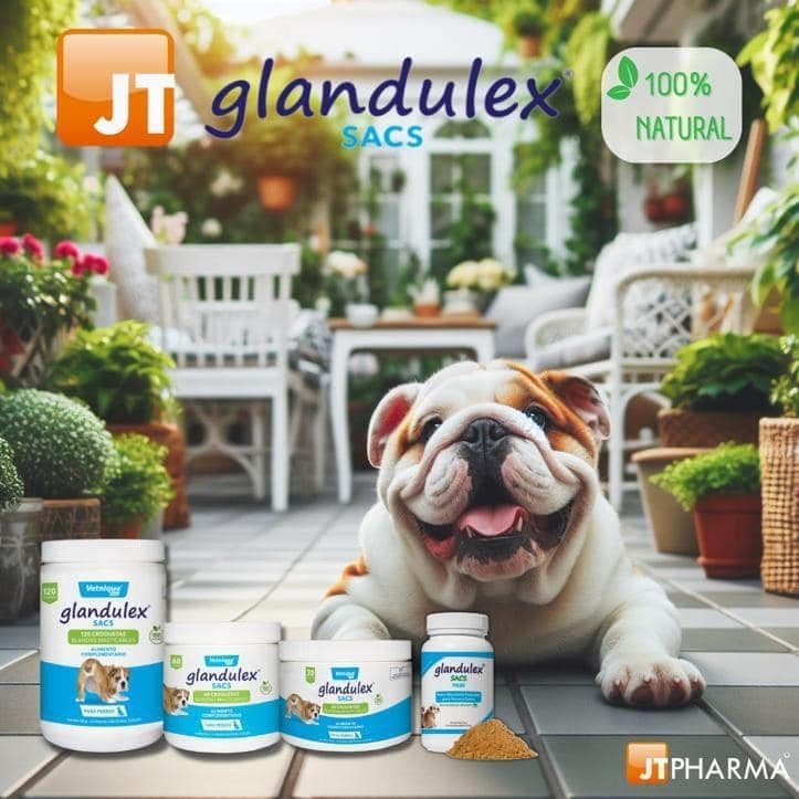 JTPHARMA Glandulex Sacs - 60 Croquetas
