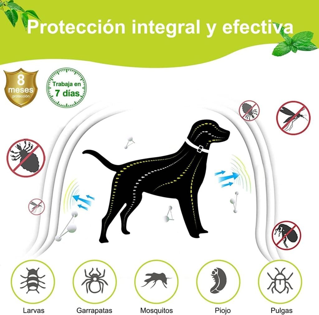 DEWEL Collar contra Pulgas y Garrapatas para Perros y Gatos Control Antipulgas 8 Meses de Protección Collar Antipulgas para Perros de 63,5 cm