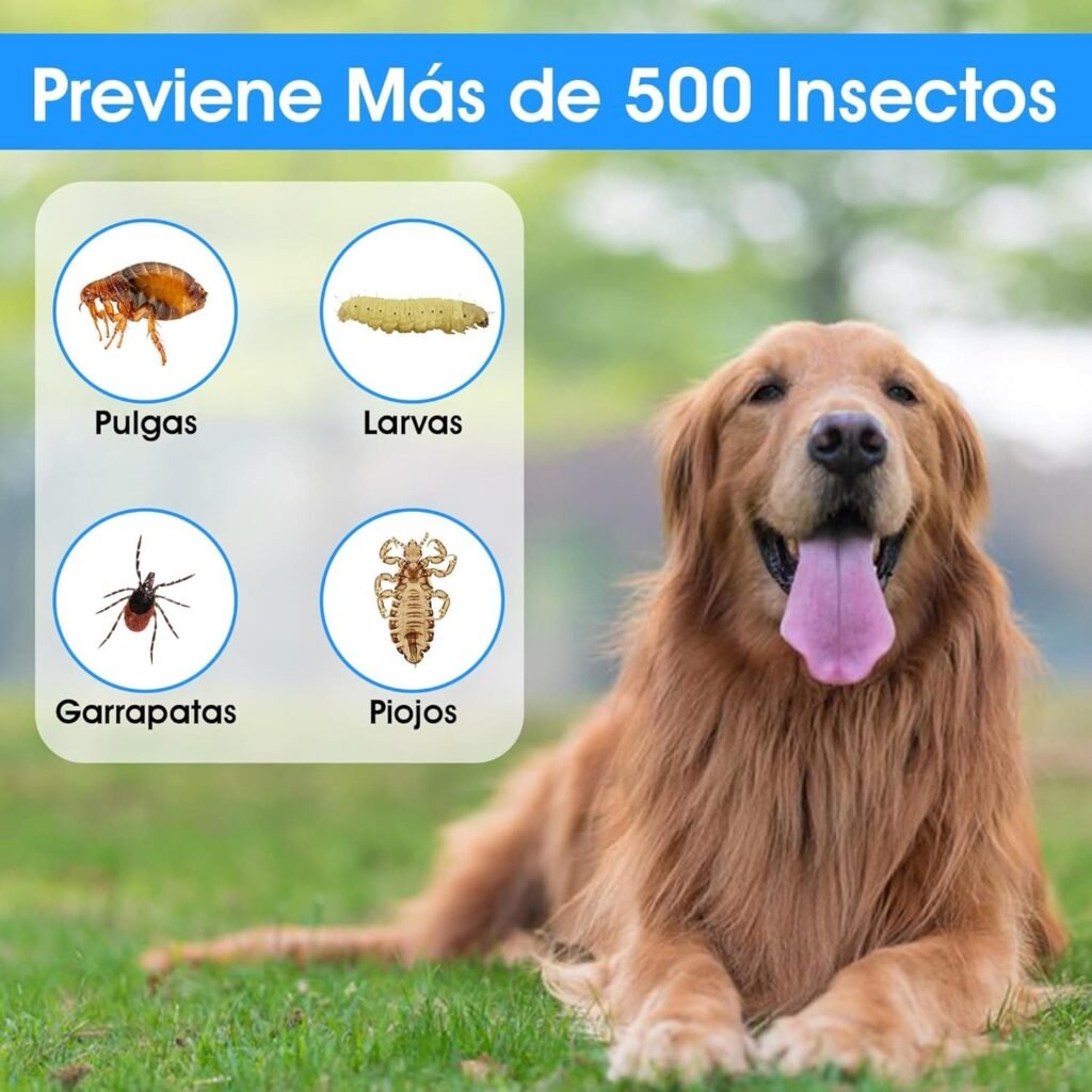 Collar Antiparasitos Perros Natural Repelente Frente a Pulgas,Garrapatas y Mosquitos,Tamaño Ajustable e Impermeable para Mascota Pequeño Mediano Grandes