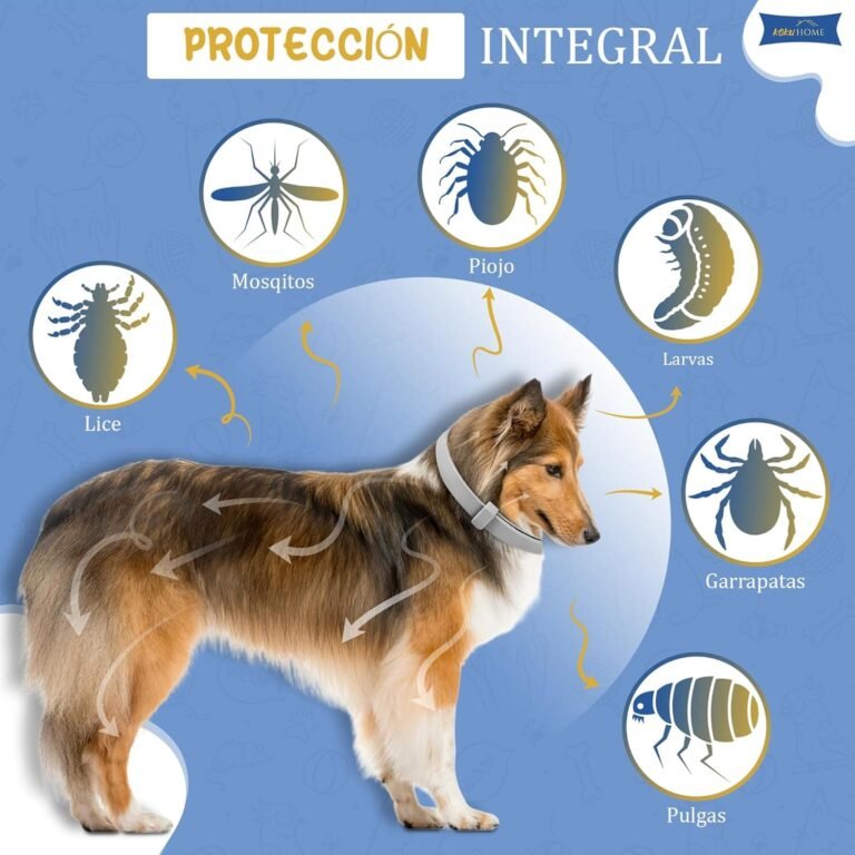 KOKU HOME Collar Antiparasitario contra Pulgas y Garrapatas para Perros y Gatos - Ajustable para Cualquiera Razas y Tamaños - 8 Meses de Protección - 65cm - Materiales con Aceites Esenciales. (Gris)