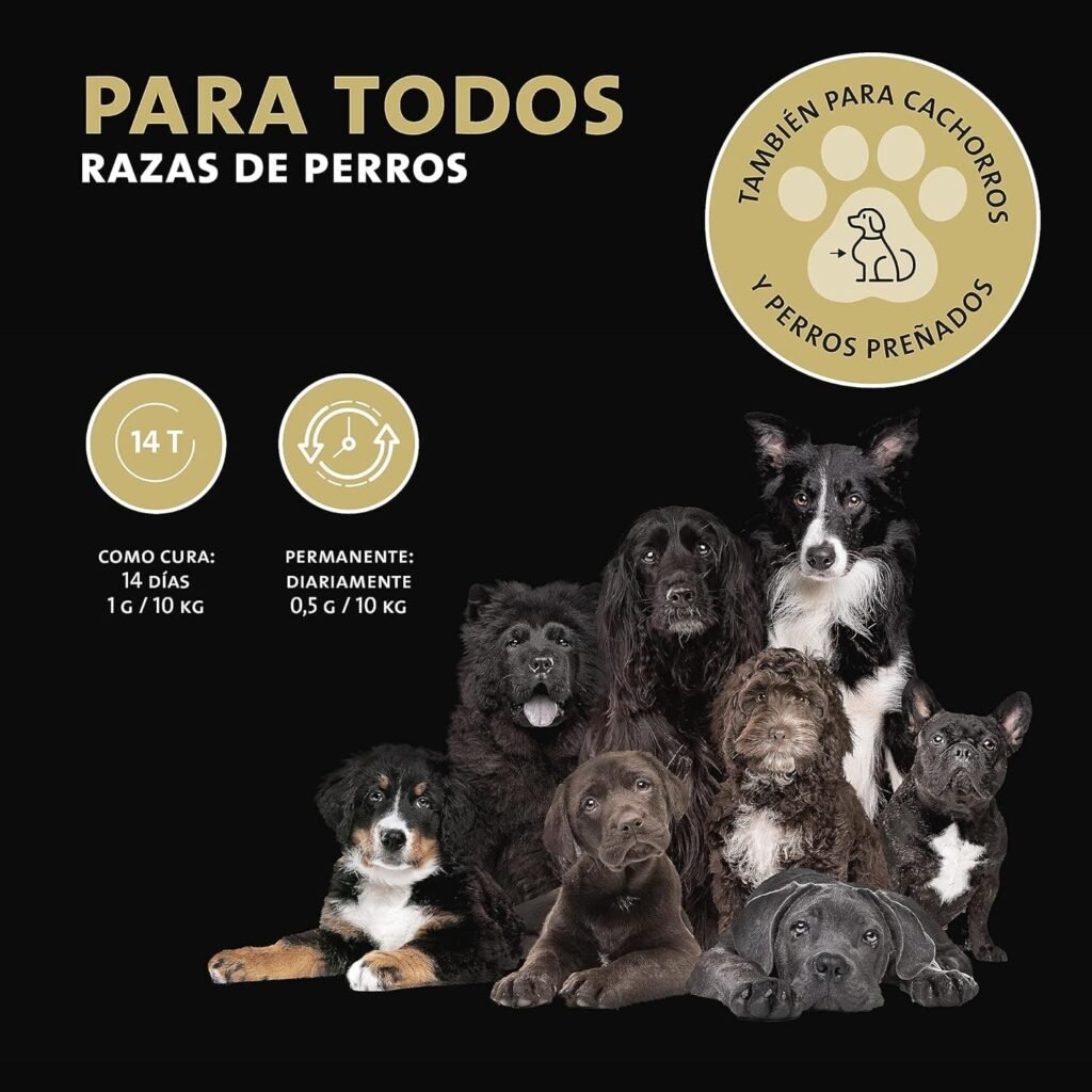 Peticare Desparasitante Antiparasitario para Perros Interno | Polvo de Hierbas | Remedio 100% Natural con Curcuma y Tomillo contra Gusanos Intestinales, Anquilostomas | petDog Health 2605 (90 g)