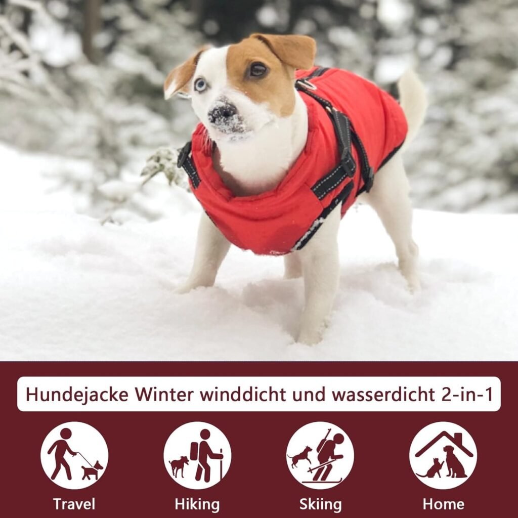 Chaqueta de Invierno para Perros a Prueba de Viento Impermeable 2 en 1 Abrigo para Clima frío Chaleco para Perros arnés Cachorro Chaqueta cálida de Invierno,Azul,XXL