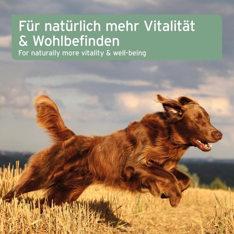 AniForte Aceite de Salmón para Perros 1 Litro - 100% Natural. Contiene Ácidos Grasos Omega 3, EPA, DHA Y Linolénico. Beneficioso para Huesos Fuertes y Pelaje Brillante