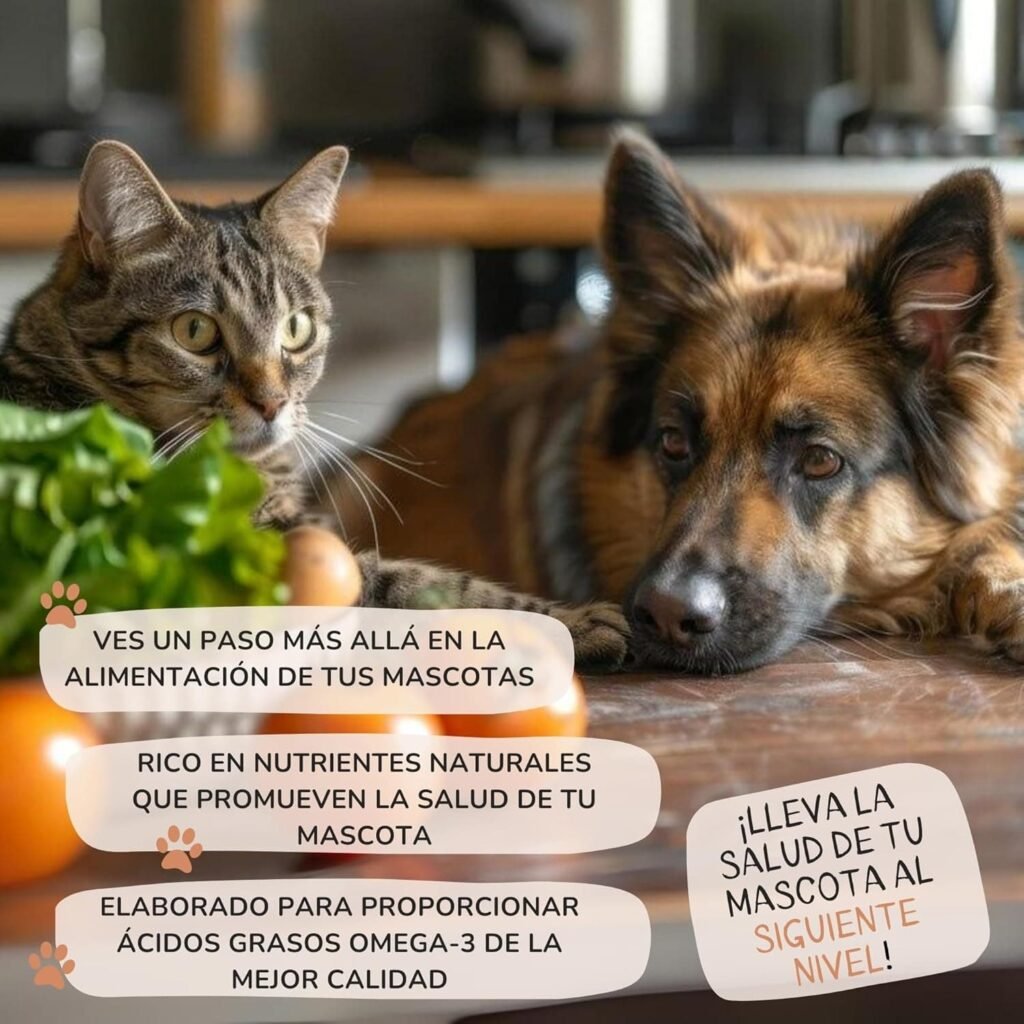 Lamina Care - Aceite De Salmon Perros y Gatos Enriquecido con Omega 3 y 6, EPA y DHA, Fórmula Avanzada Natural para Articulaciones Fuertes, Piel Sana y Pelaje Brillante (1000ml)
