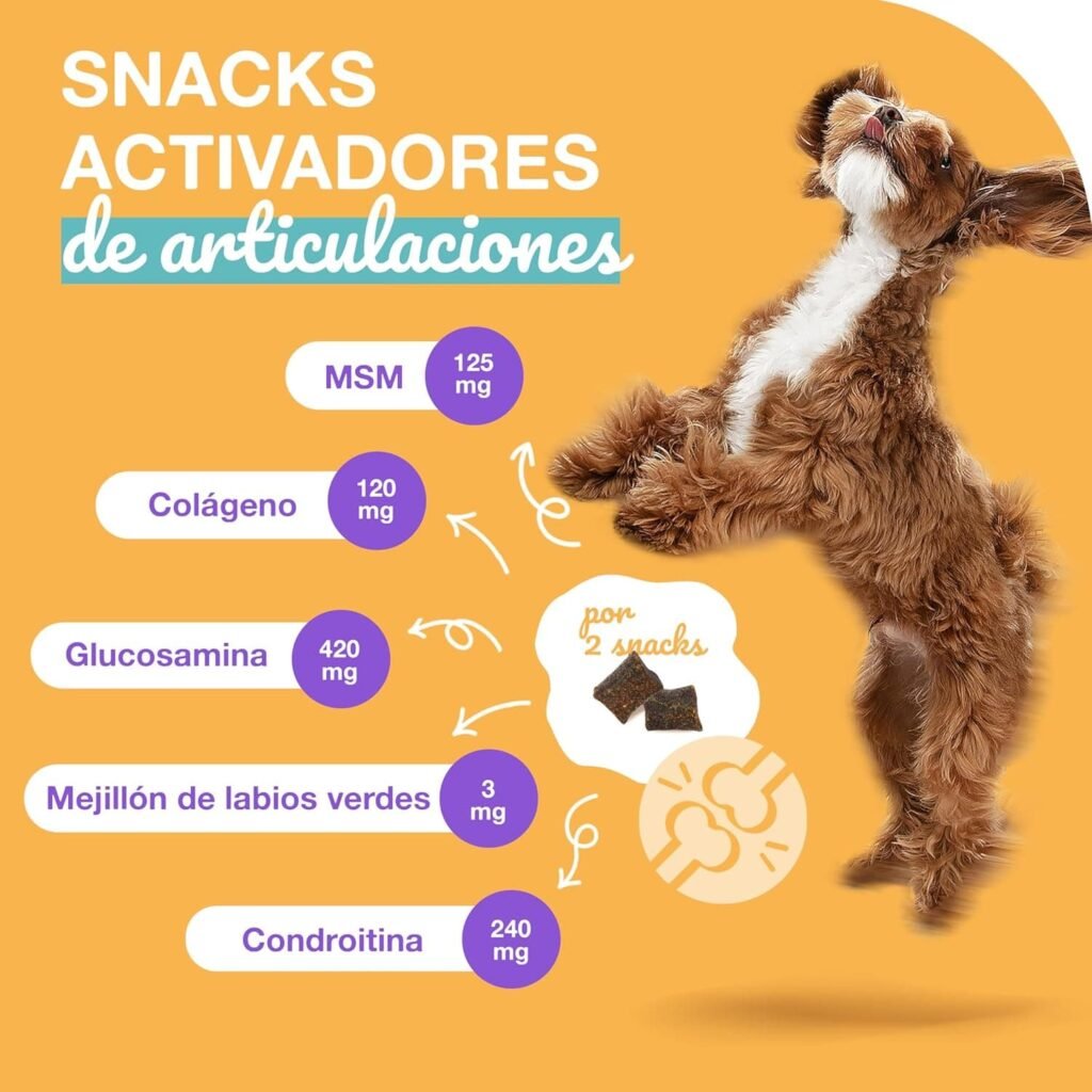 Paawy Condroprotector Perros con Glucosamina, Condroitina, MSM I para Las Articulaciones de Perros I Antiinflamatorio para Perros Artrosis I Joint Care for Dogs I 250g Salmón