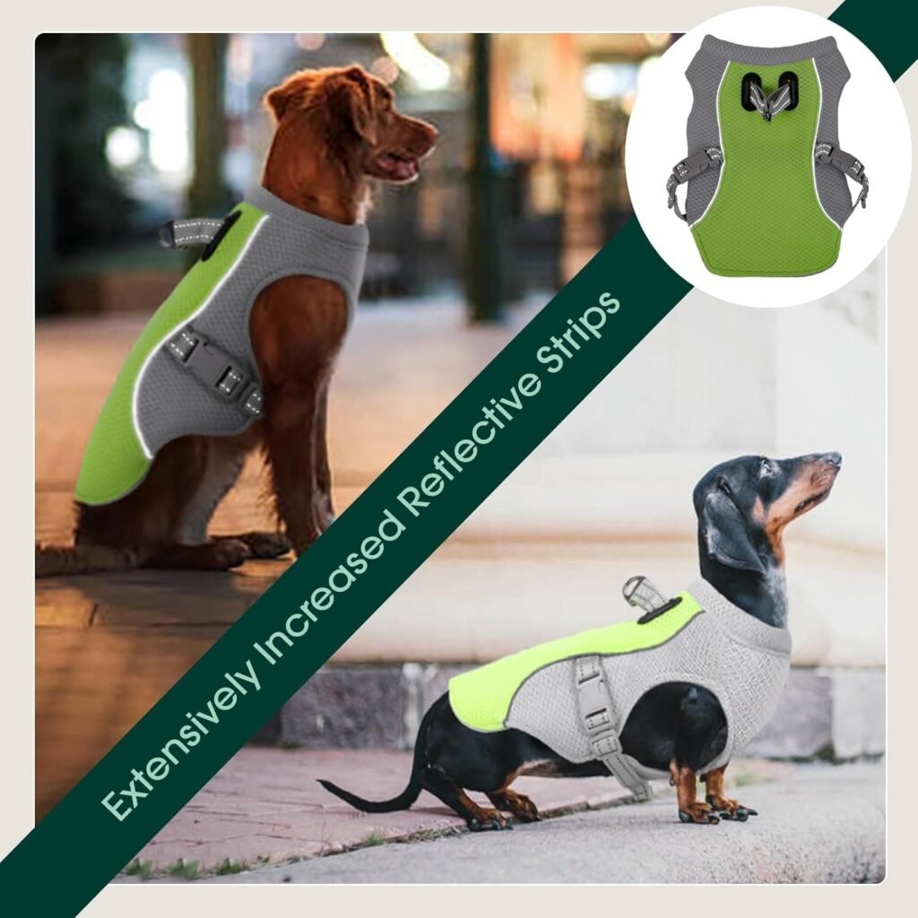 Kuoser Chaleco de Enfriamiento para Perros