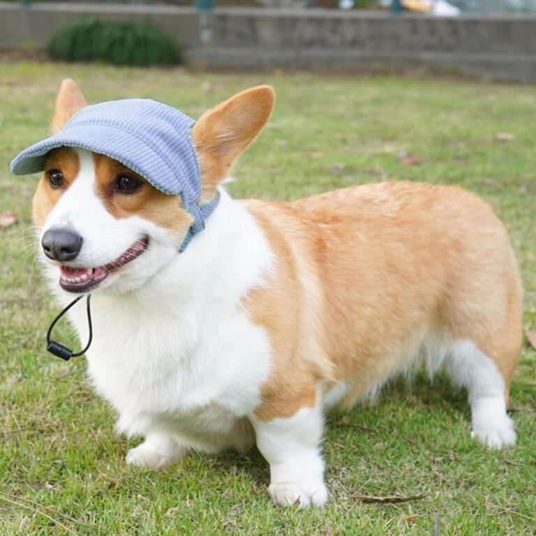 Gorra de béisbol para perros, ajustable, para verano, protección solar, sombrero con agujeros para las orejas, gorro de verano para cachorros (azul, XL)