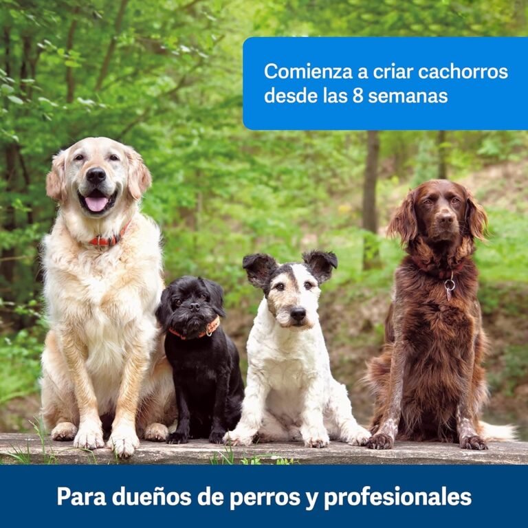 PetSafe Click-R - Mando de Adiestramiento para Perros, Refuerza el Comportamiento Positivo, Entrenamiento con Recompensa
