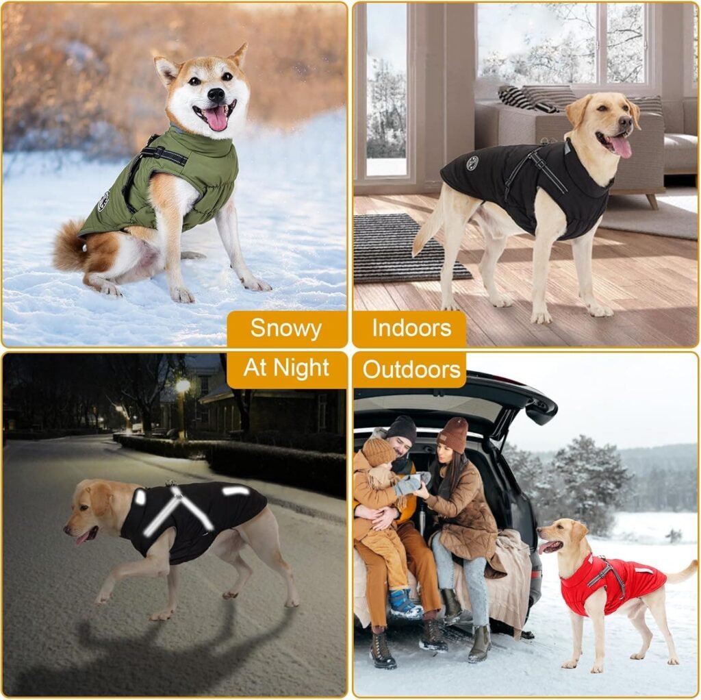 Abrigo Invierno Perro, Abrigo Impermeable para Perros Resistente al Viento