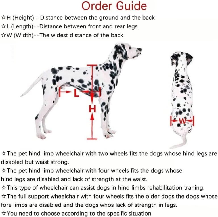 KAJILE Silla de Ruedas ajustanble de 2 Ruedas Para Perros Pequeños,Tamaño XXXS-3 Rara La Rehabilitación de las patas traseras