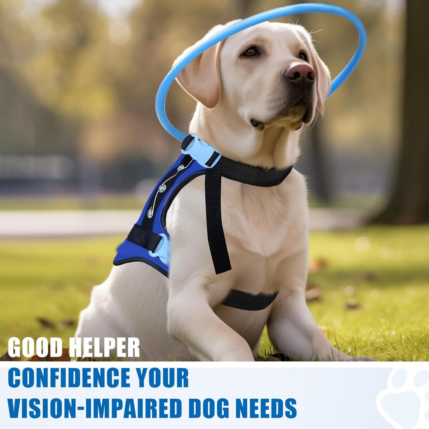 LetPetRun Arnés de halo para perro ciego, collar protector para perros ciegos