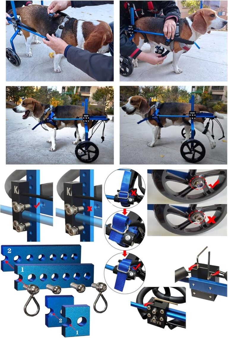KAJILE Silla de Ruedas ajustanble de 2 Ruedas Para Perros Pequeños,Tamaño XXXS-3 Rara La Rehabilitación de las patas traseras