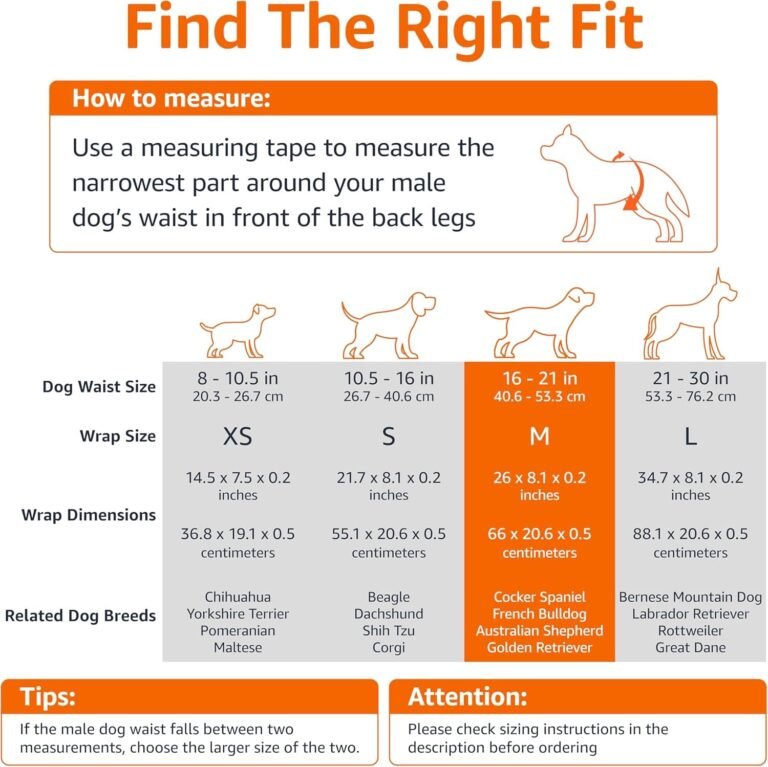 Amazon Basics Pañales Desechables para Perros Macho