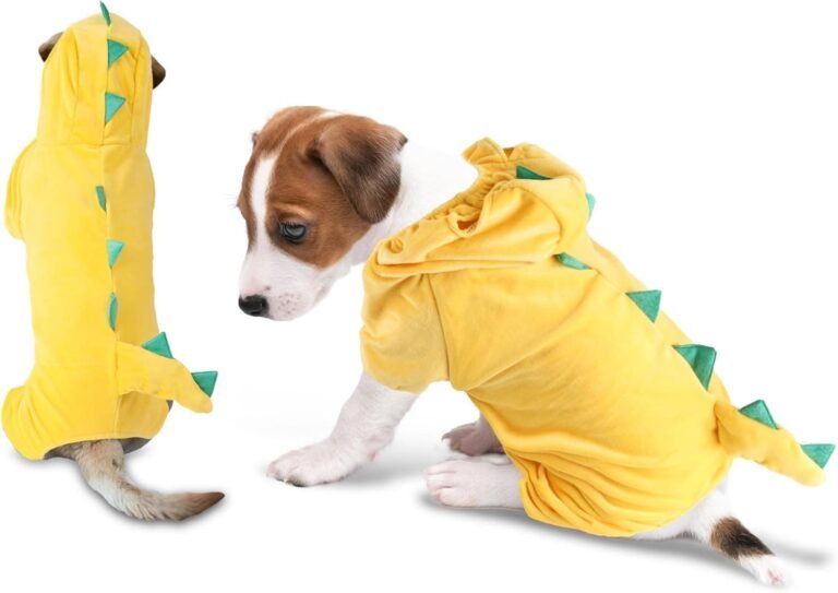 DELIFUR Disfraz de dinosaurio para perro