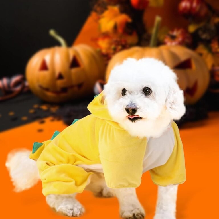 DELIFUR Disfraz de dinosaurio para perro